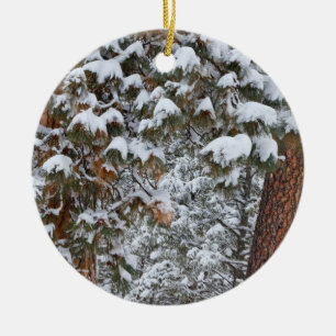 Schnee füllt die Grünflächen von Ponderosa-Kiefern Keramikornament