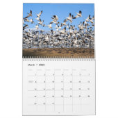 Schnee-Gans-Gewohnheit Druckkalender Kalender (Mär 2026)