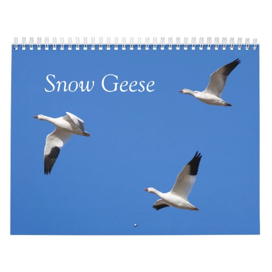 Schnee-Gans-Gewohnheit Druckkalender Kalender (Titelbild)