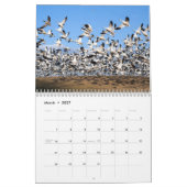 Schnee-Gans-Gewohnheit Druckkalender Kalender (Mär 2027)