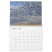 Schnee-Gans-Gewohnheit Druckkalender Kalender (Feb 2027)