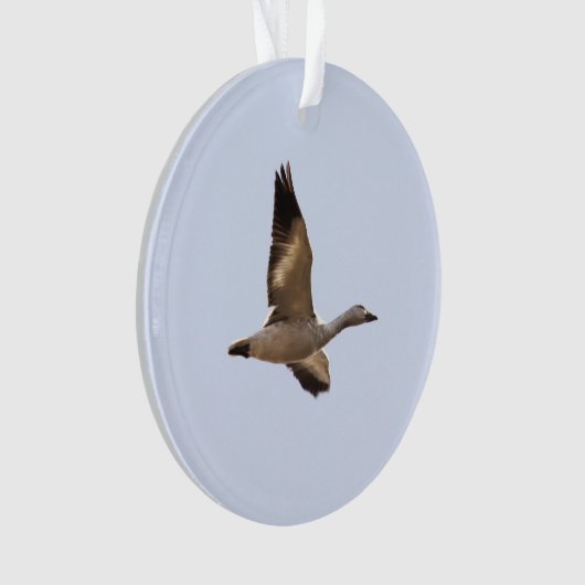 Schnee-Gans Ornament (Vorderseite)