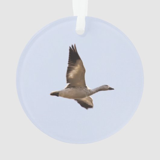 Schnee-Gans Ornament (Rückseite)