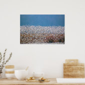 Schnee Gänse fliegen! Poster (Küche)