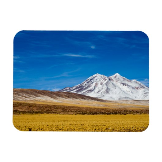 Schnee - Gebirge und Puna Grasland Magnet (Horizontal)