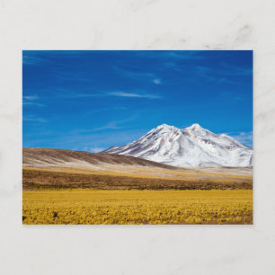 Schnee - Gebirge und Puna Grasland Postkarte