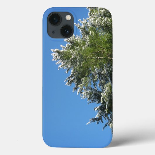 Schnee-gespitzte Kiefer auf blauem Himmel Case-Mate iPhone Hülle (Rückseite)