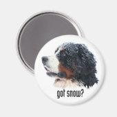 Schnee got? Bernese Magnet (Vorderseite/Rückseite)