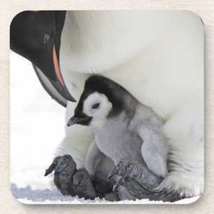 Schnee-Hügel-Insel des Kaiser-Pinguin-  Getränkeuntersetzer