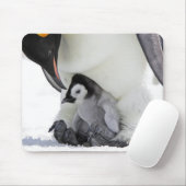 Schnee-Hügel-Insel des Kaiser-Pinguin-| Mousepad (Mit Mouse)