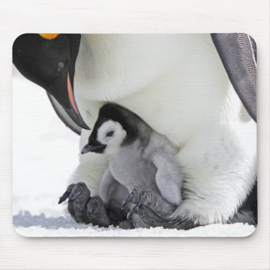 Schnee-Hügel-Insel des Kaiser-Pinguin-| Mousepad (Vorne)