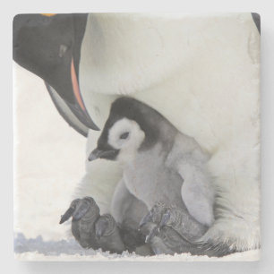 Schnee-Hügel-Insel des Kaiser-Pinguin- Steinuntersetzer