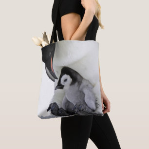 Schnee-Hügel-Insel des Kaiser-Pinguin- Tasche