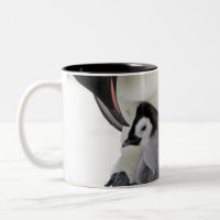 Schnee-Hügel-Insel des Kaiser-Pinguin-|