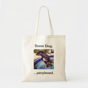 Schnee-Hund,… verdutzte Tragetasche