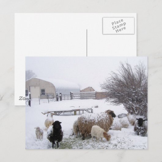 Schnee im April Postkarte (Vorne/Hinten)