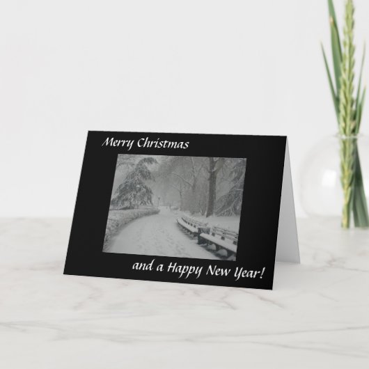 Schnee im Central Park Feiertagskarte (Vorderseite)