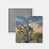 Schnee im Death Valley Magnet (Vorderseite/Rückseite)