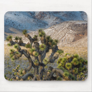 Schnee im Death Valley Mousepad