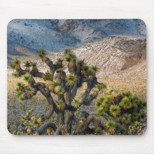 Schnee im Death Valley Mousepad (Vorne)