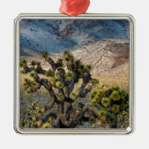 Schnee im Death Valley Ornament Aus Metall