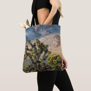 Schnee im Death Valley Tasche
