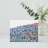 Schnee im Herbst Postkarte (Stehend Vorderseite)