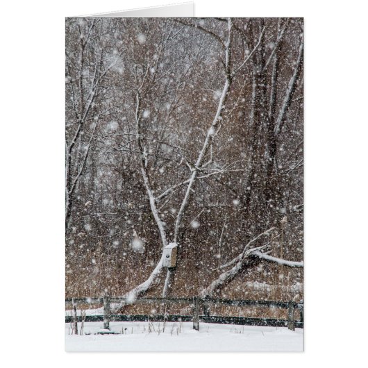 Schnee im Park (Vorne)