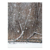 Schnee im Park Fotodruck (Vorne)