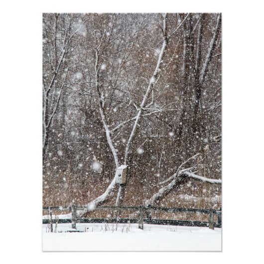 Schnee im Park Fotodruck (Vorne)