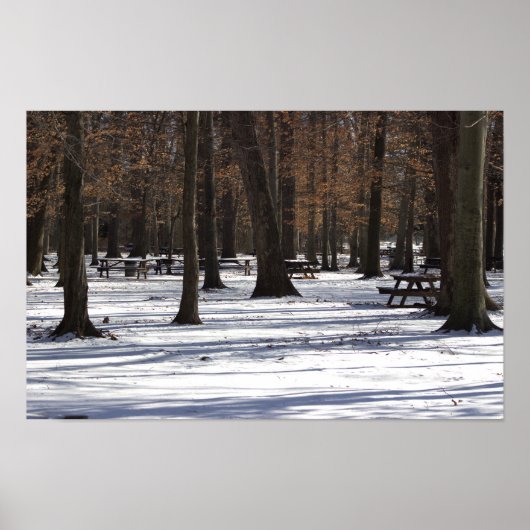 Schnee im Park Poster (Vorne)