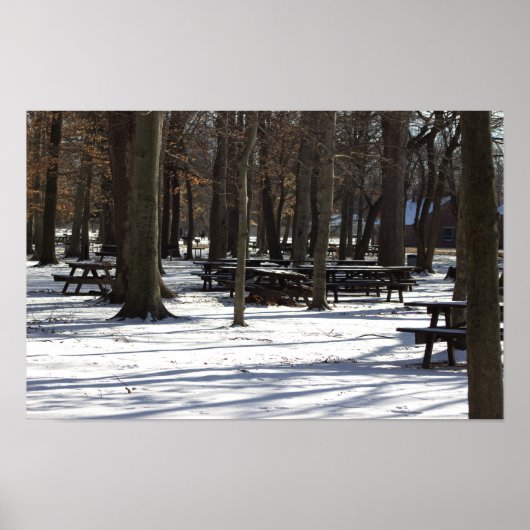 Schnee im Park Poster (Vorne)