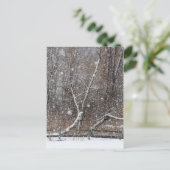 Schnee im Park Postkarte (Stehend Vorderseite)