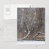Schnee im Park Postkarte (Vorne/Hinten)