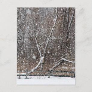 Schnee im Park Postkarte