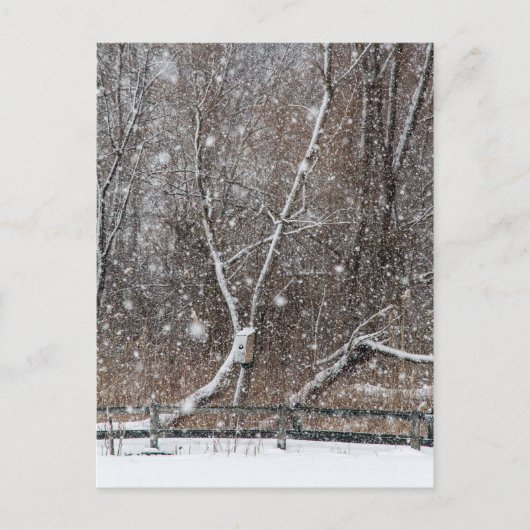Schnee im Park Postkarte (Vorderseite)