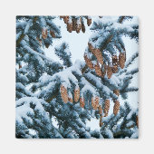 Schnee im Pines Magnet (Vorne)