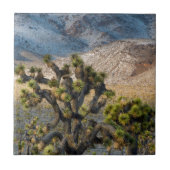 Schnee im Todestal Fliese (Vorderseite)