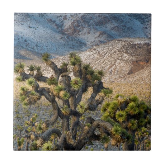 Schnee im Todestal Fliese (Vorderseite)