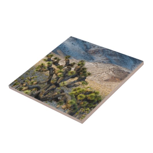 Schnee im Todestal Fliese (Seite)