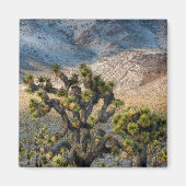 Schnee im Todestal Magnet (Vorne)