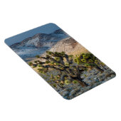 Schnee im Todestal Magnet (Rechte Seite)