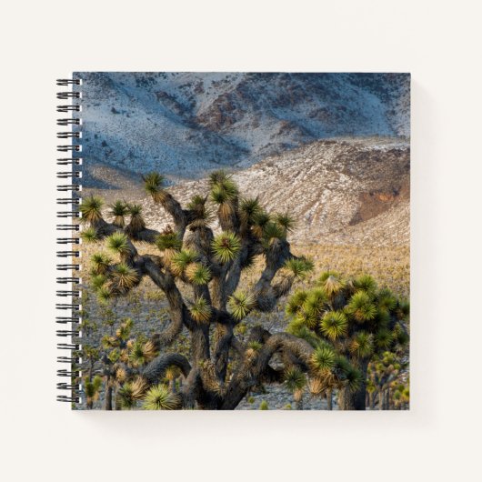 Schnee im Todestal Notizblock (Vorderseite)