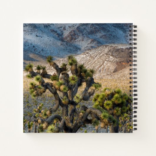 Schnee im Todestal Notizblock (Rückseite)