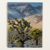 Schnee im Todestal Planer (Vorderseite)