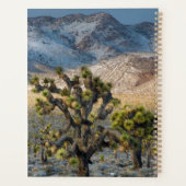 Schnee im Todestal Planer (Rückseite)