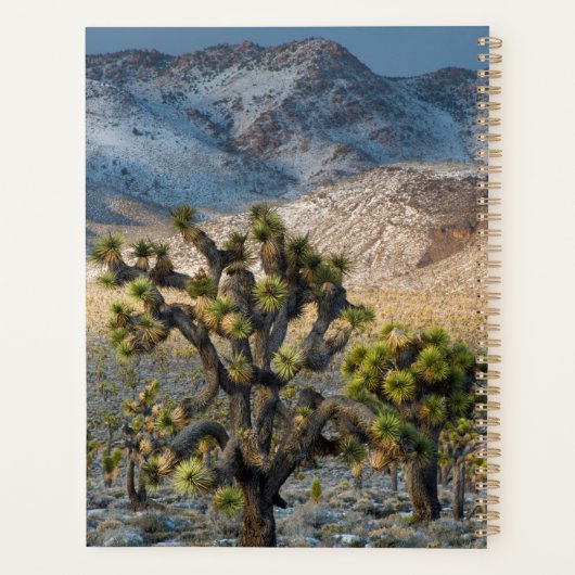 Schnee im Todestal Planer (Rückseite)