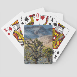 Schnee im Todestal Spielkarten