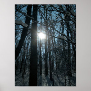 Schnee im Wald Poster