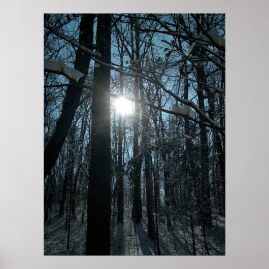 Schnee im Wald Poster (Vorne)
